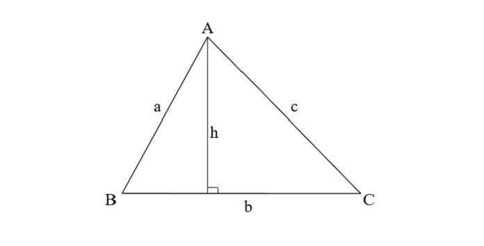 Tính diện tích hình tam giác