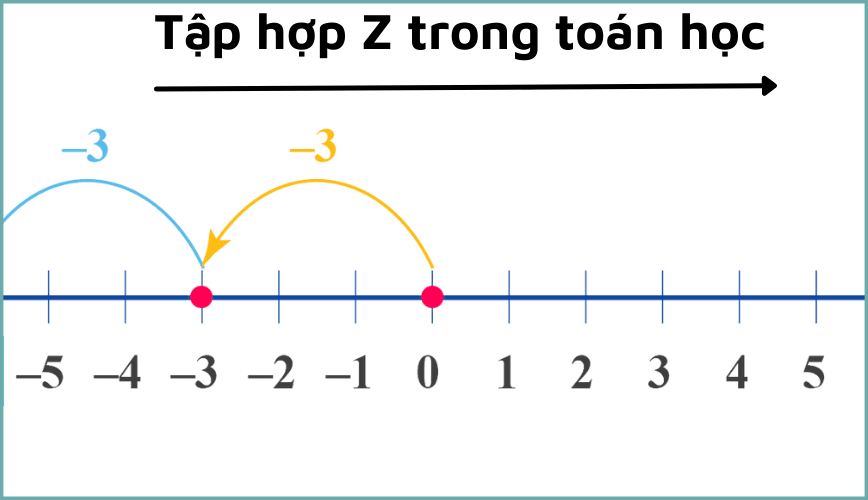 tap hop z