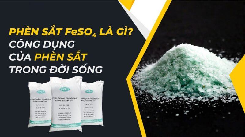 ung dung feso4