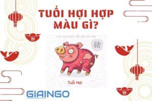 tuoi hoi hop mau gi
