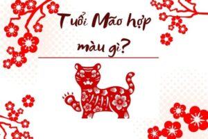 tuoi mao hop mau gi