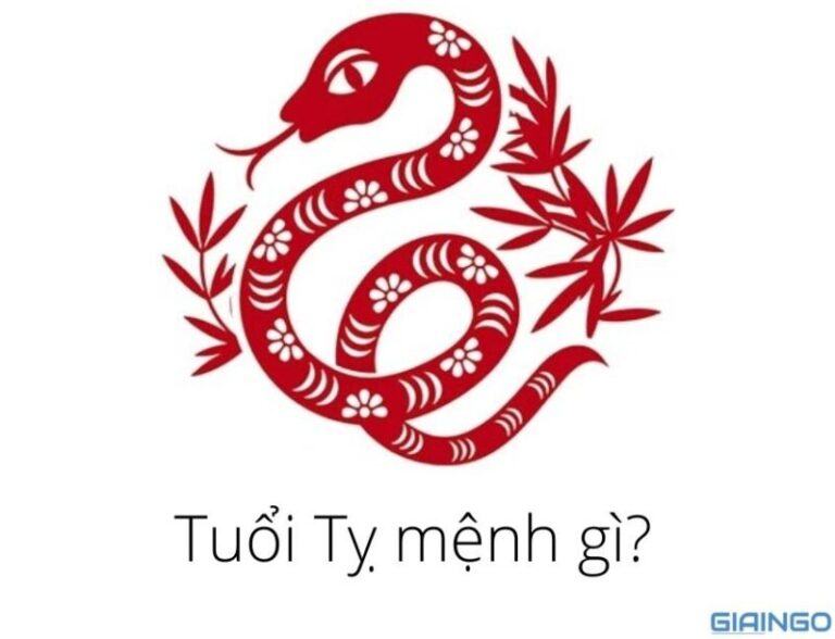 Tuổi Tỵ hợp màu gì Phong thủy tuổi Tỵ trong năm 2021