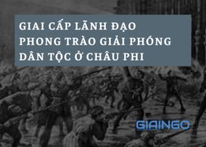 Giai cap lanh dao phong trao giai phong dan toc o chau Phi