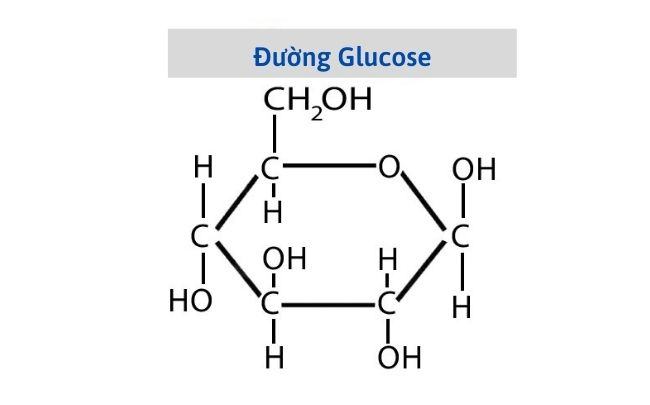 Công thức hóa học của đường mía