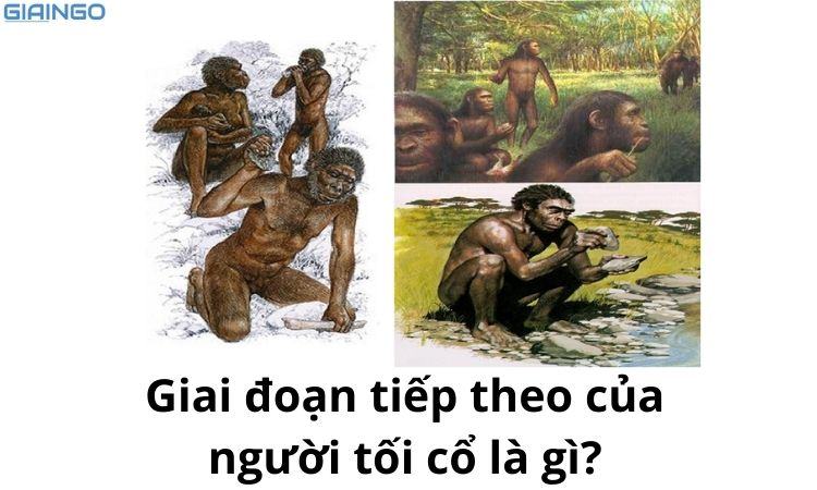 Giai đoạn tiếp theo của người tối cổ là gì? Họ sống như thế nào? 1 giai doan tiep theo cua nguoi toi co la gi