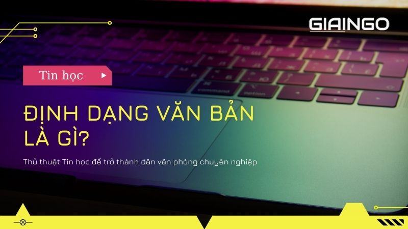 Định dạng văn bản là gì? 3 kiểu định dạng văn bản phổ biến dinh dang van ban la gi