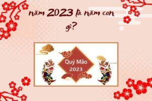 nam 2023 la nam con gi