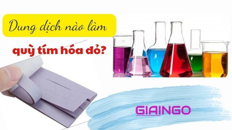 dung dịch làm quỳ tím hóa đỏ
