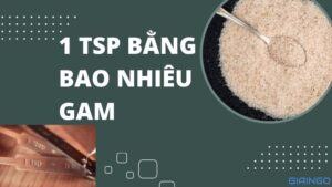 1 tsp bằng bao nhiêu gam