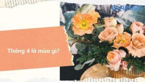 Tháng 4 là mùa gì? Nên đi đâu? Những điều đặc biệt trong tháng 4
