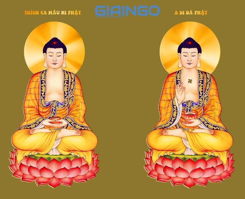 Sự khác biệt giữa Phật Thích Ca và Phật A Di Đà