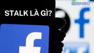 stalk là gì