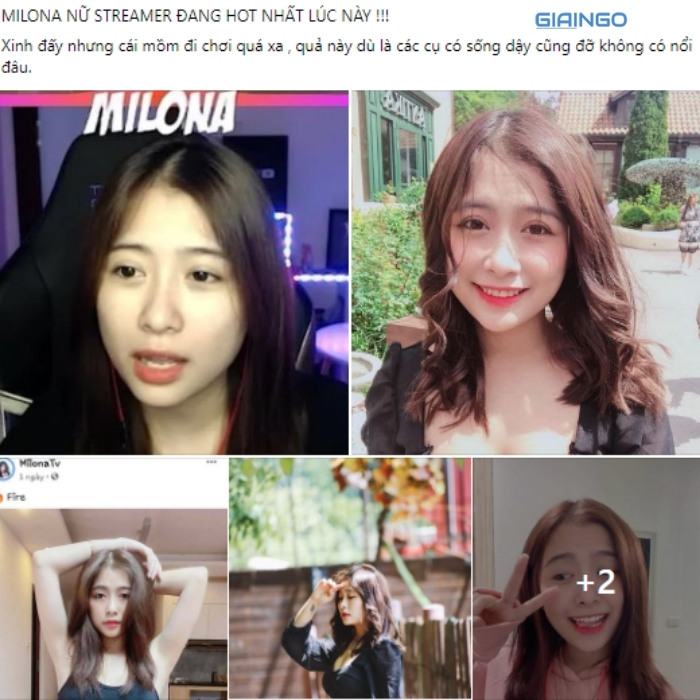 Drama nữ streamer Milona xúc phạm người hói tại Việt Nam