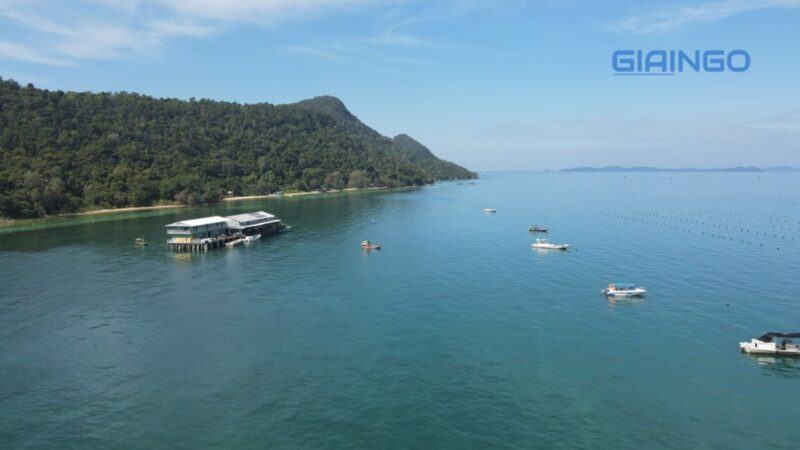 Khu nuôi cấy ngọc trai