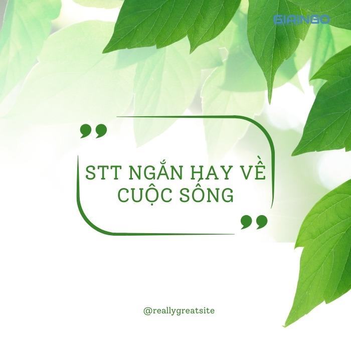 STT ngắn hay về cuộc sống