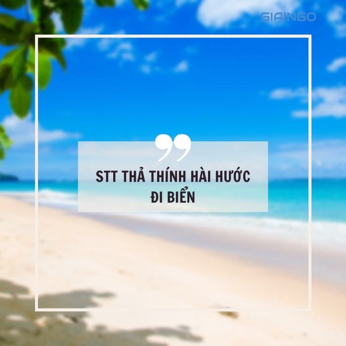 STT thả thính hài hước đi biển