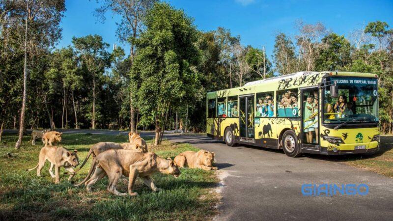 Vinpearl Safari Phú Quốc có gì chơi