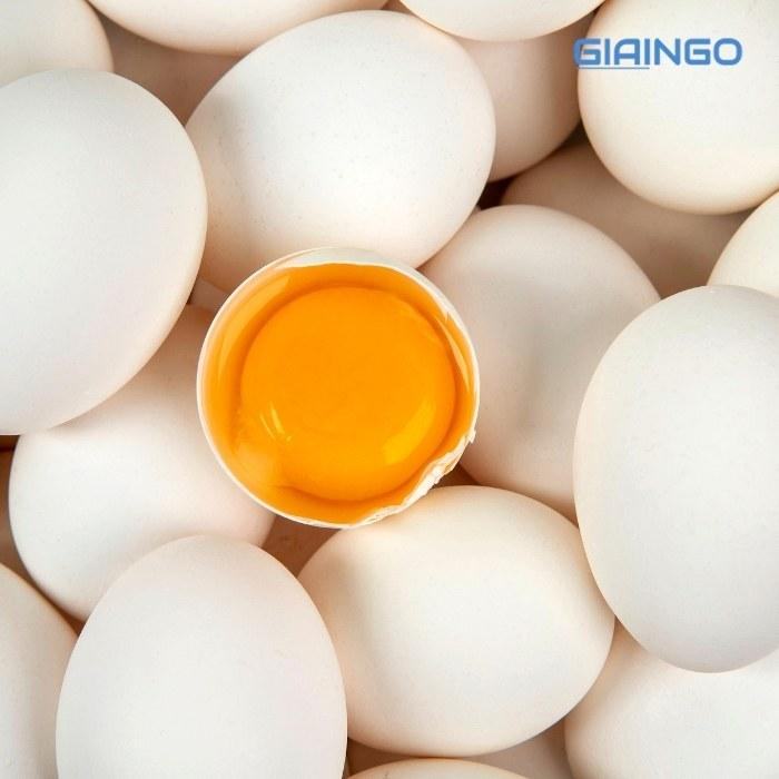 Cấu tạo của vỏ trứng gà