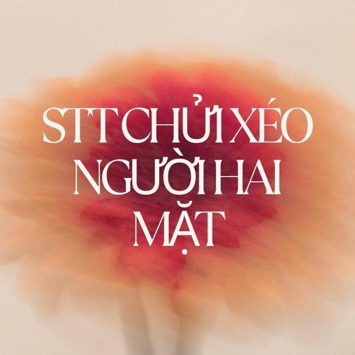 STT chửi xéo người hai mặt