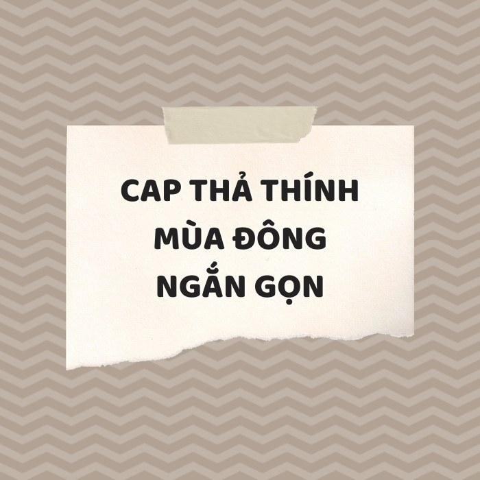 Cap thả thính mùa đông ngắn gọn