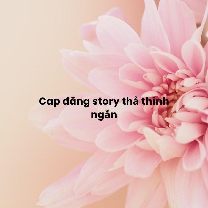 Cap đăng story thả thính ngắn