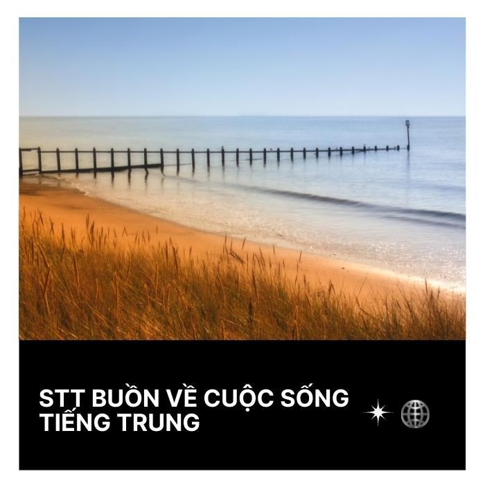 STT buồn về cuộc sống tiếng Trung