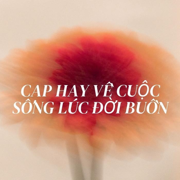 Cap hay về cuộc sống lúc đời buồn