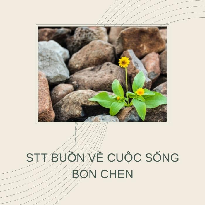 STT buồn về cuộc sống bon chen
