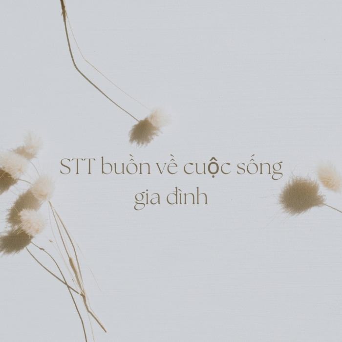 STT buồn về cuộc sống gia đình