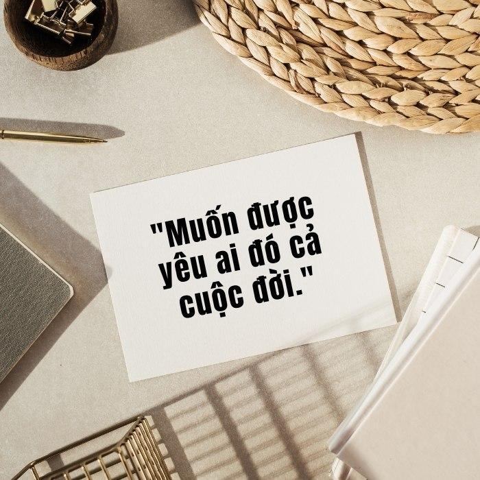 STT hay khi đăng ảnh đại diện