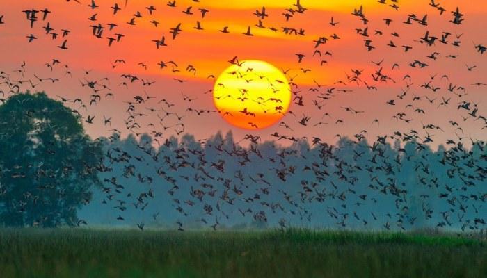 Biện pháp bảo vệ đa dạng sinh học