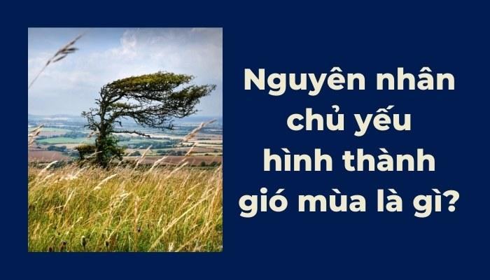 Nguyên nhân hình thành gió mùa chủ yếu là do? Địa lí 10