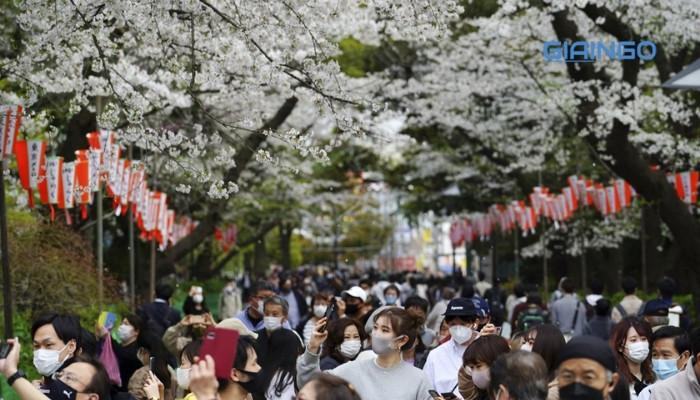 Đặc điểm dân cư xã hội châu Á