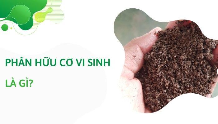Phân hữu cơ vi sinh là gì
