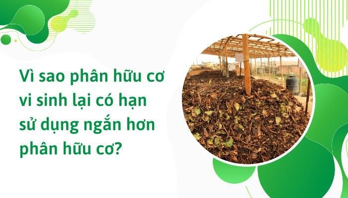 Vì sao phân hữu cơ vi sinh lại có hạn sử dụng ngắn hơn phân hữu cơ