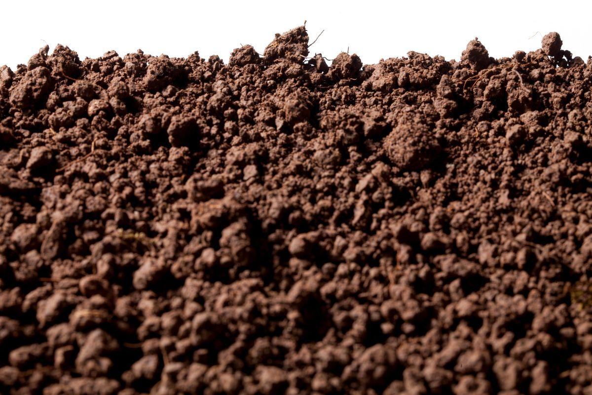 Đặc trưng của đất thổ nhưỡng là gì