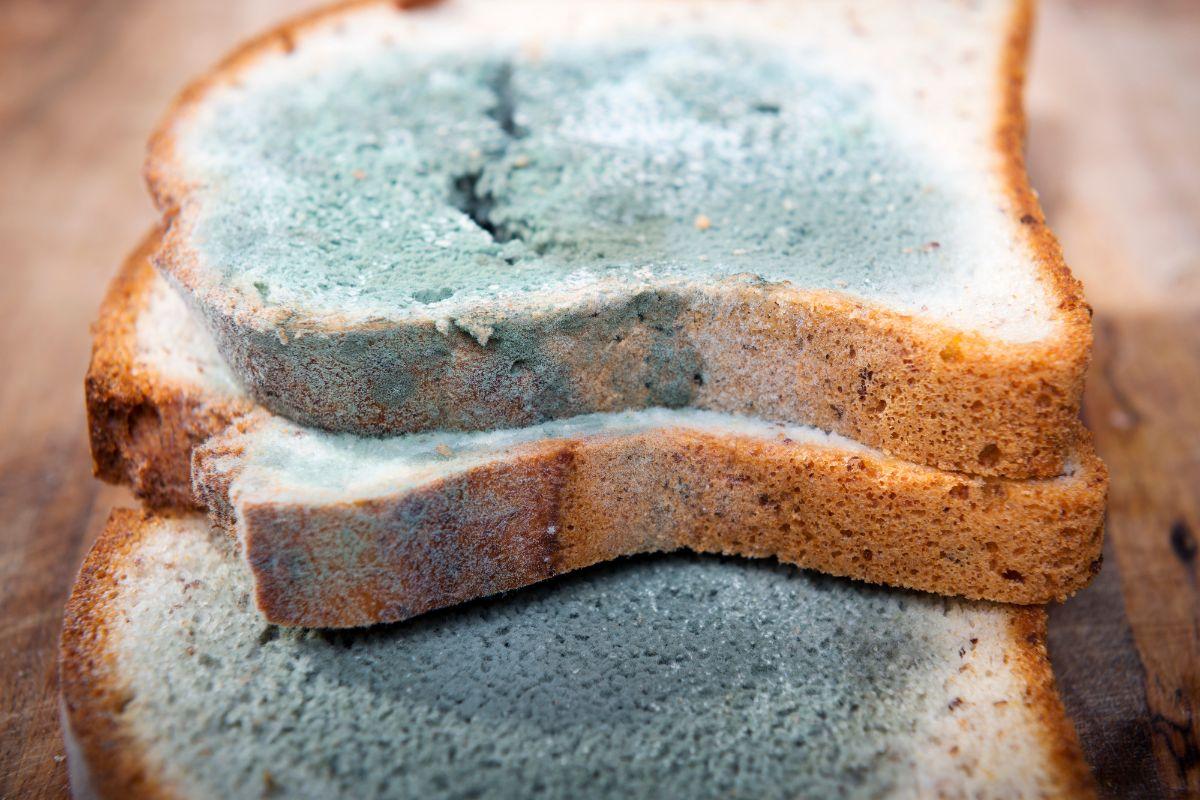 Tác hại của hiện tượng nồm ẩm