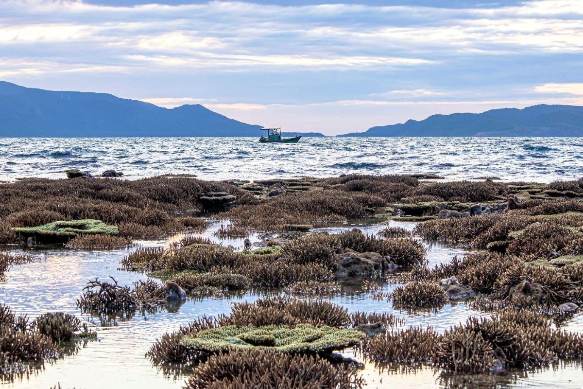 Gió chướng là gì