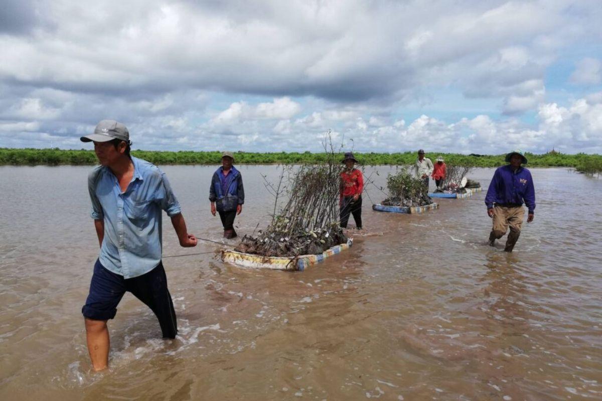 Tại sao lại gọi là gió chướng