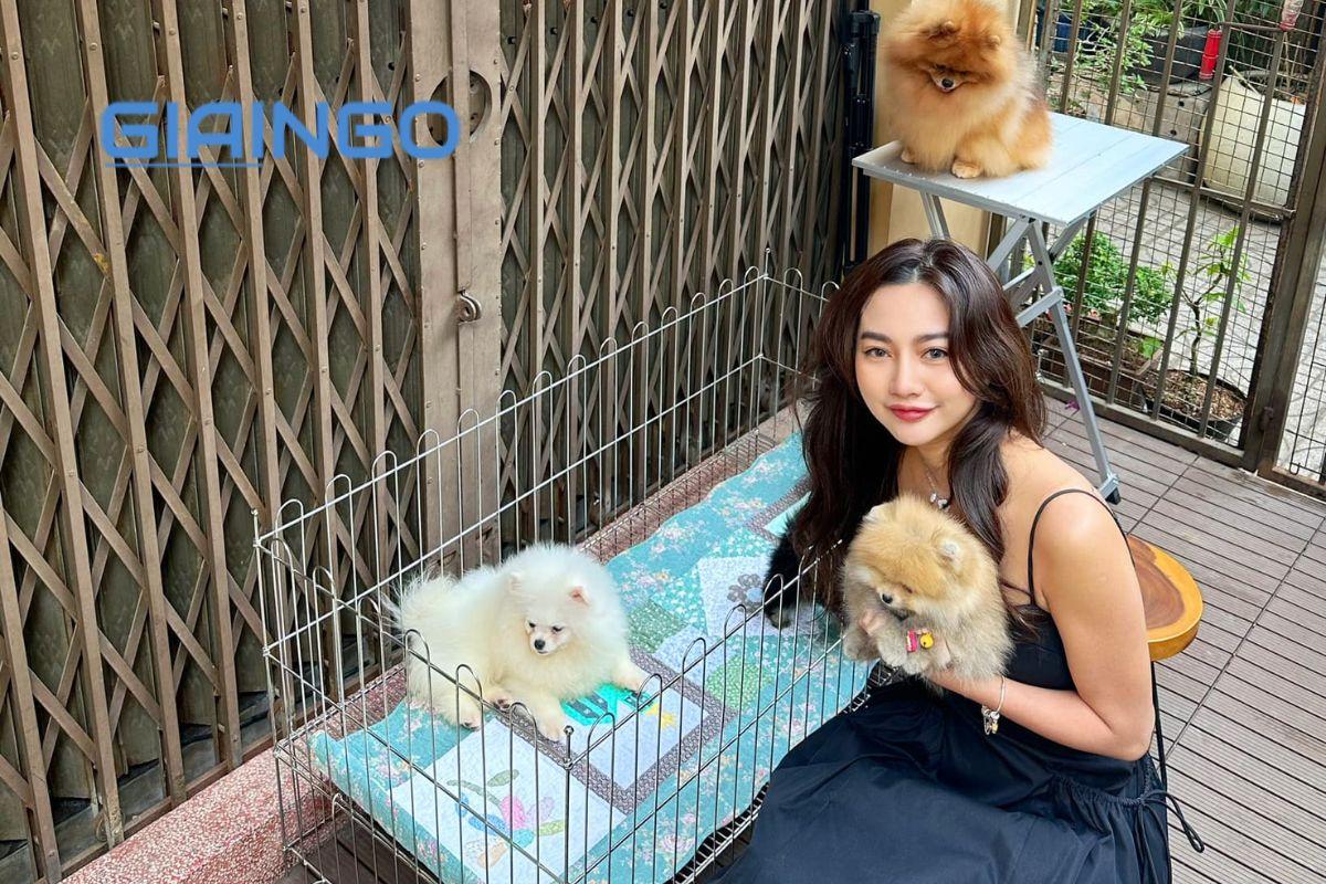 Tiểu sử Diệp Lê