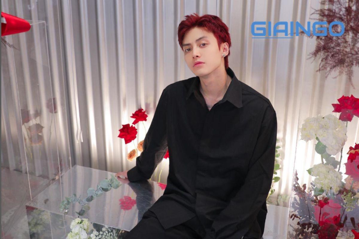 Sự nghiệp Tuấn Dương