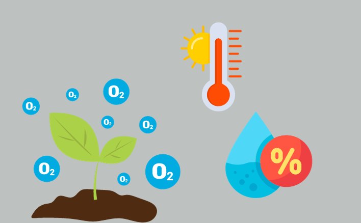 Ba điều kiện bên ngoài cần thiết cho sự nảy mầm của hạt là