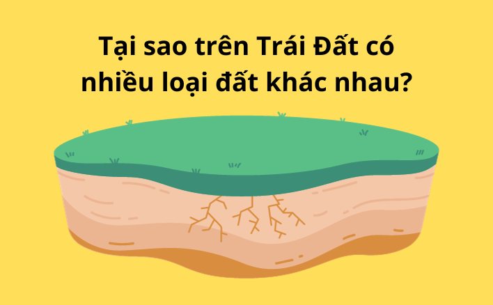 Tại sao trên Trái Đất có nhiều loại đất khác nhau?