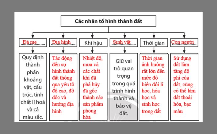 Vẽ sơ đồ thể hiện các nhân tố hình thành đất: