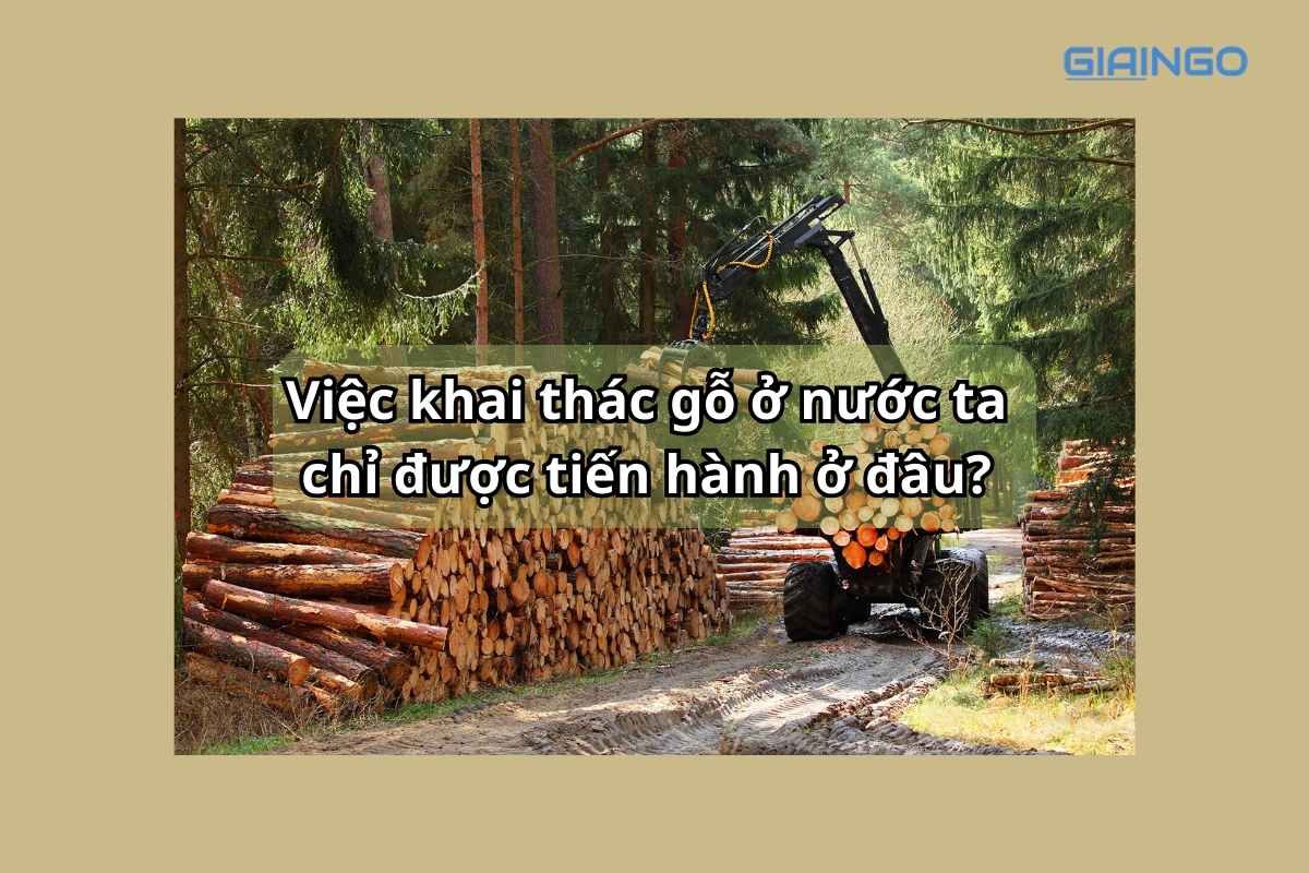 Việc khai thác gỗ ở nước ta chỉ được tiến hành ở đâu?