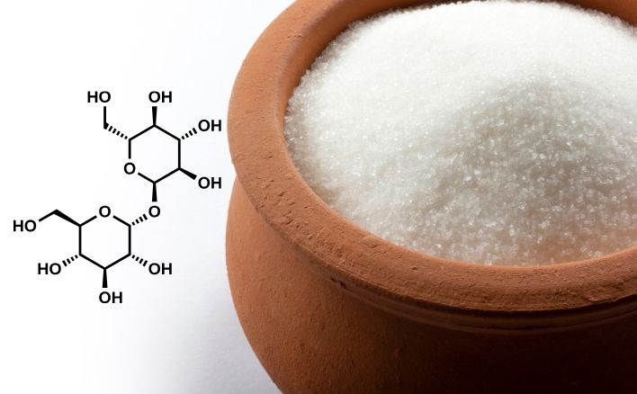 Đisaccarit là gì