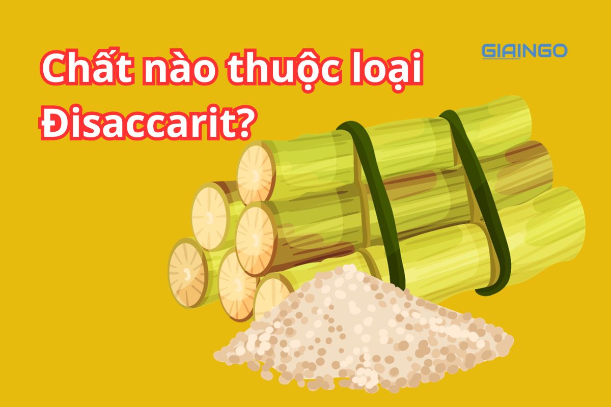 Chất nào thuộc loại Đisaccarit? Trắc nghiệm Hóa 12 thường gặp