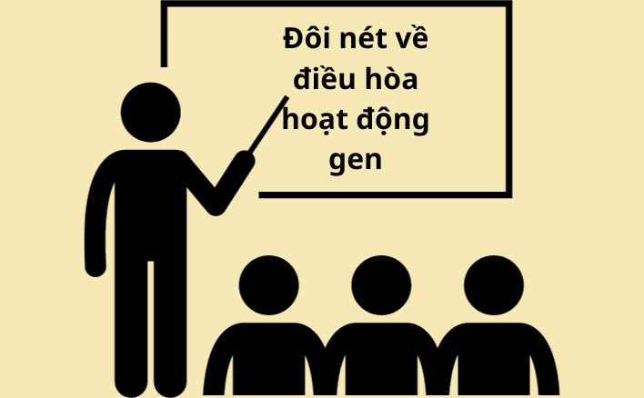 Điều hòa hoạt động gen chính là