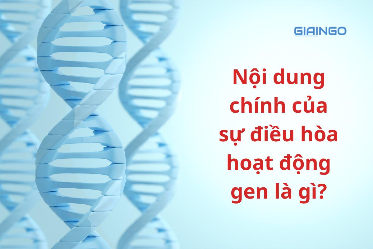 Nội dung chính của sự điều hòa hoạt động gen là gì? Sinh học 12