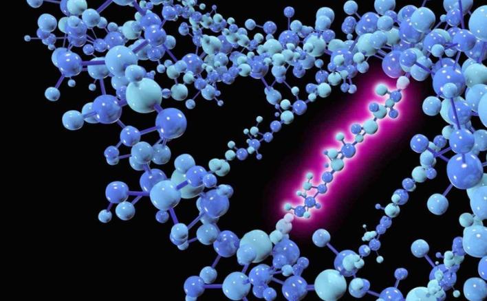 Trong các nhận định sau đây, nhận định nào không đúng